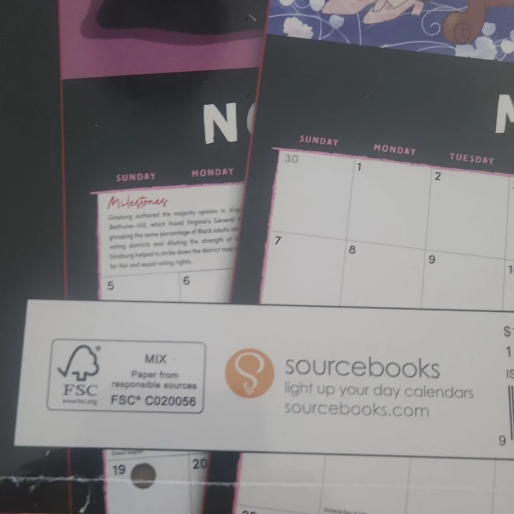 The Legacy of Ruth Bader Ginsburg 2023 Calendar